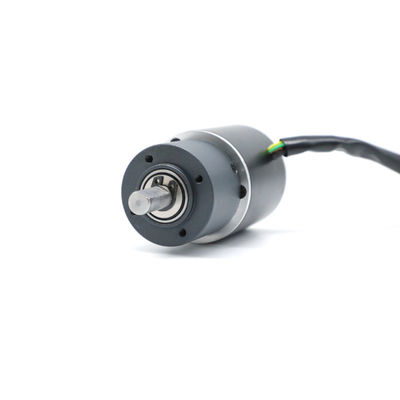 Motore Brushless DC Nema17 42BLY01A 1.6N.M 56RPM 0.25A con riduttore 1:62